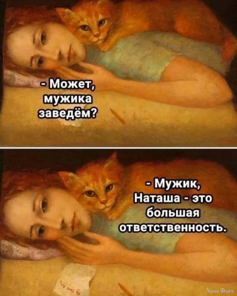 1721344206432.webp