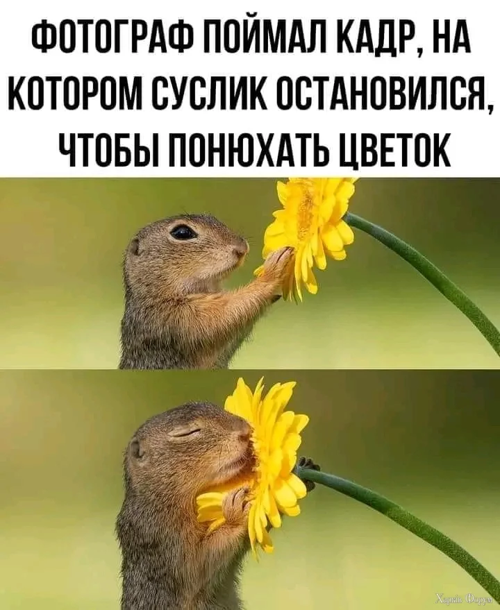 1721381523026.webp