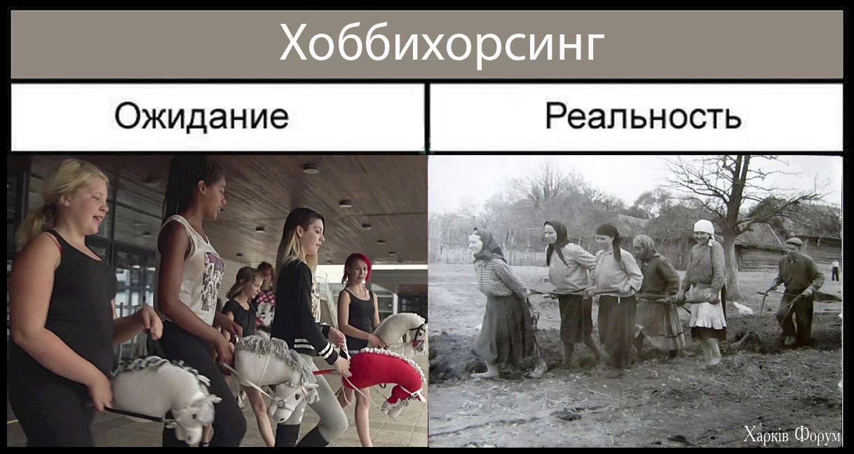 1721400992156989822.webp
