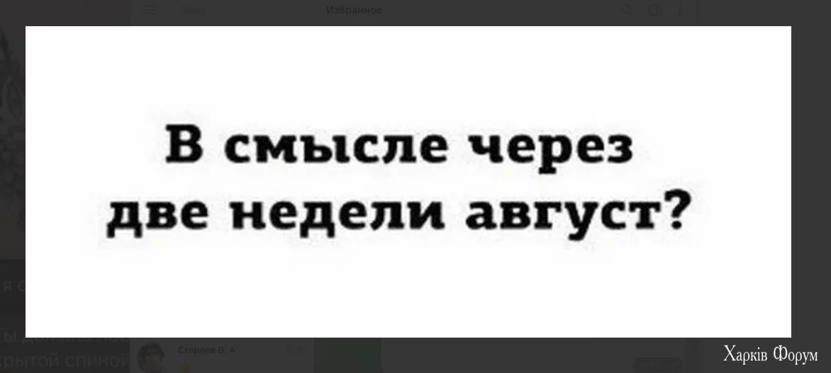 1721555664001.webp