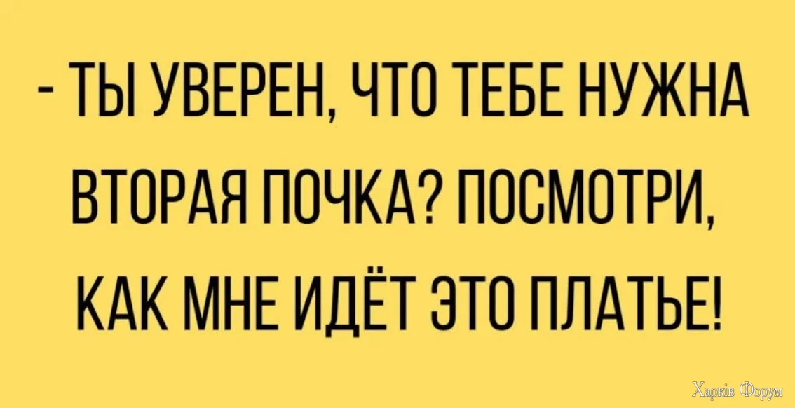 1721563779622.webp
