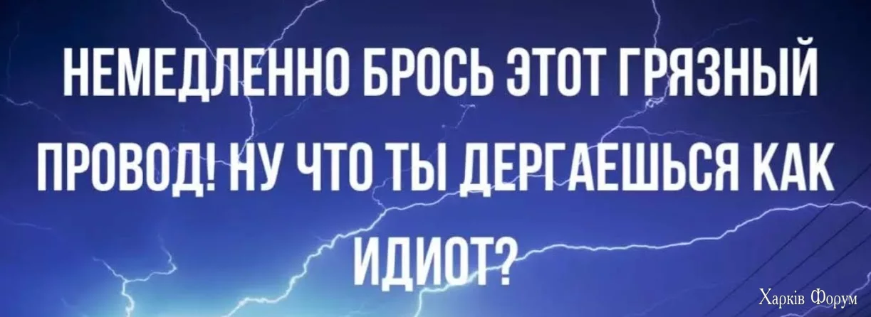 1721564176410.webp