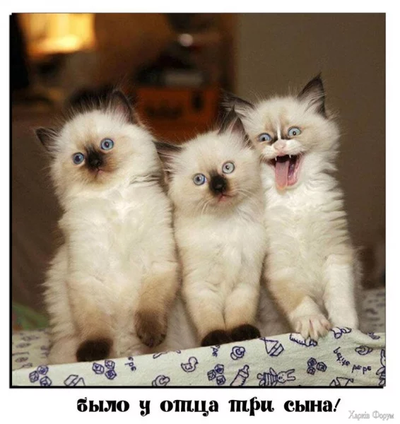1721601433443.webp