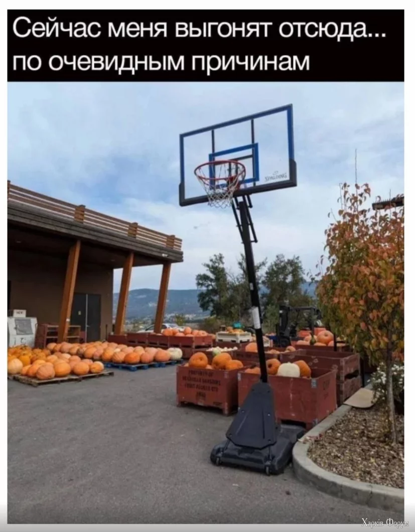 1721638725629.png