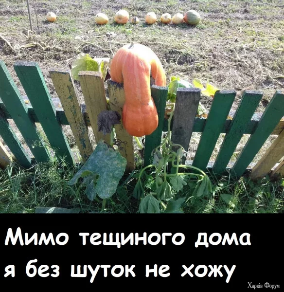 1721692561264.webp