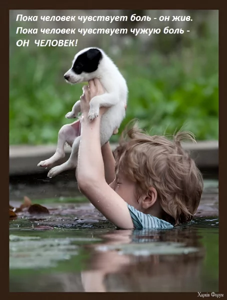 1721772991263.webp