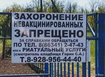 1721840258148.webp