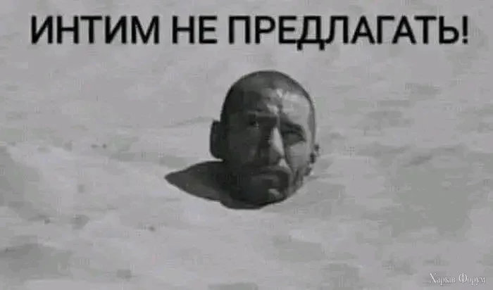 1721914981891.webp