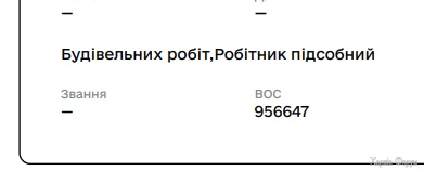1721926010076.webp