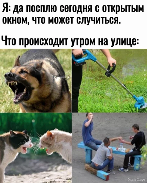 1721944707445.webp