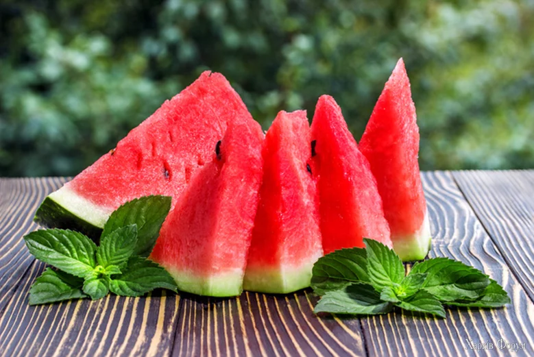 1721989624494128a4d109a5220471large_688f7b08edee2.webp