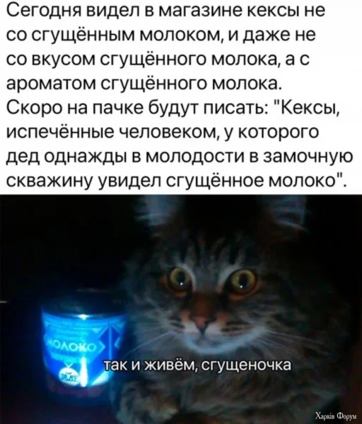 1722164770990.webp