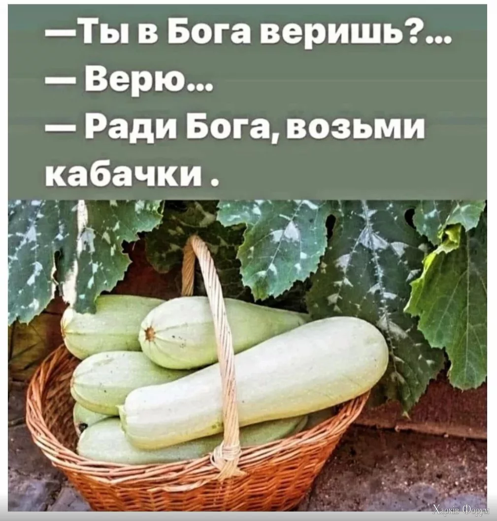 1722260501729.webp
