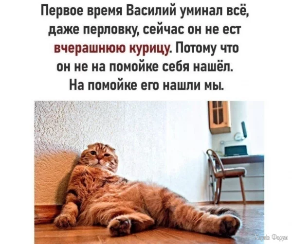 1722294983439.webp
