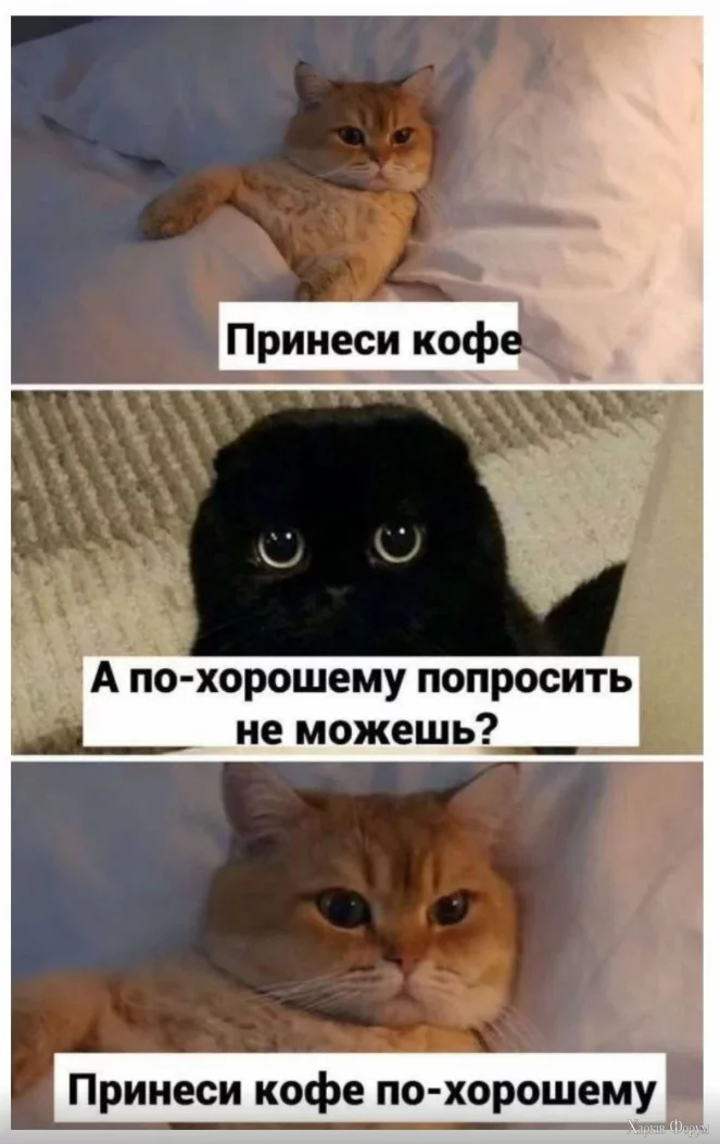 1722331122345.webp