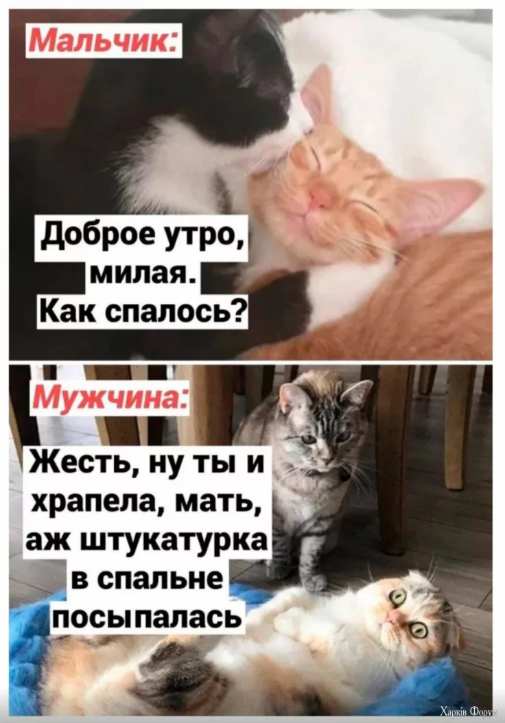 1722439847774.webp