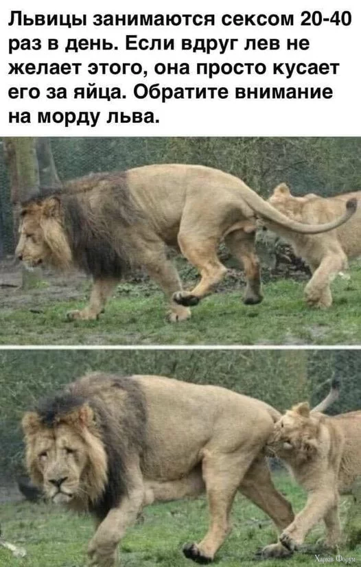 1722604569414.webp