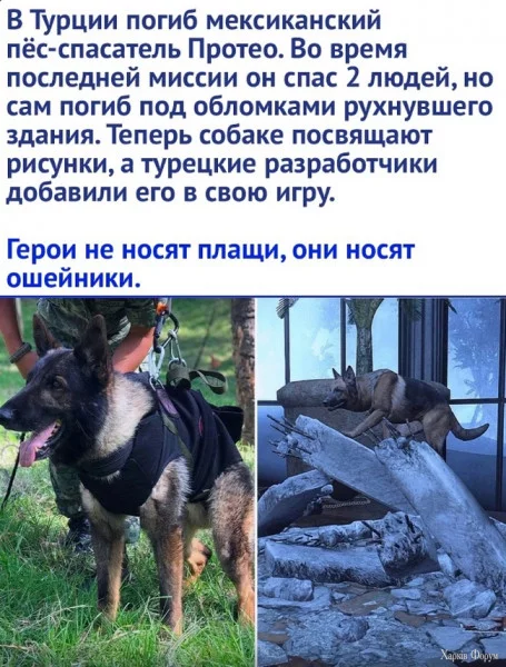 1722634353896.webp