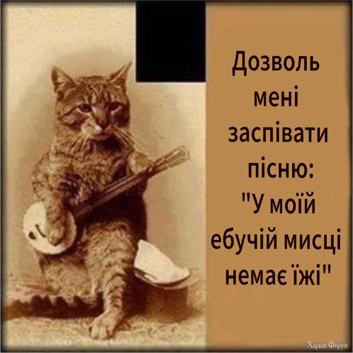 1722716421676.webp