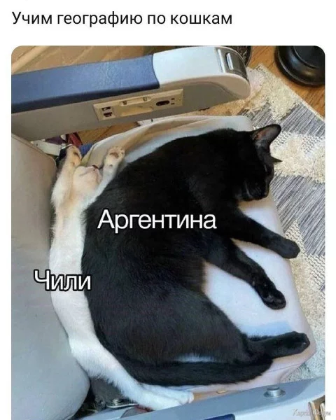 1722808082981.webp