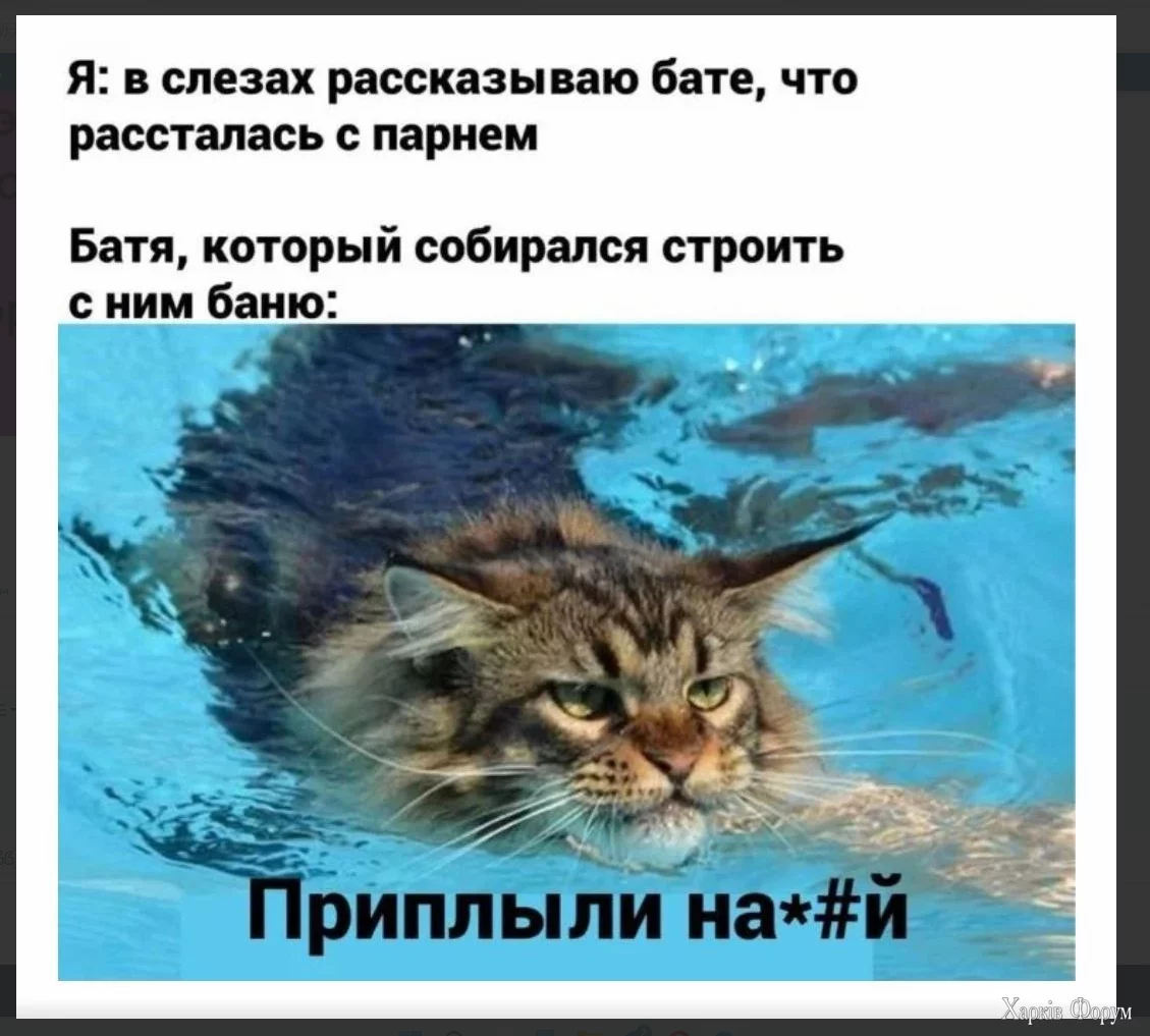 1722845983672.webp