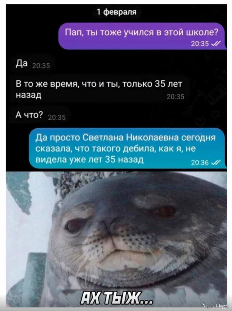 1722846004116.webp