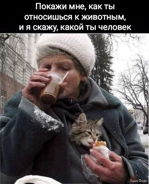 1722899652823.webp