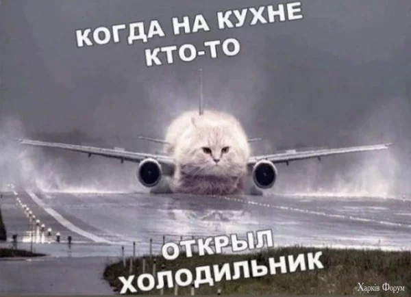 1723068877997.webp