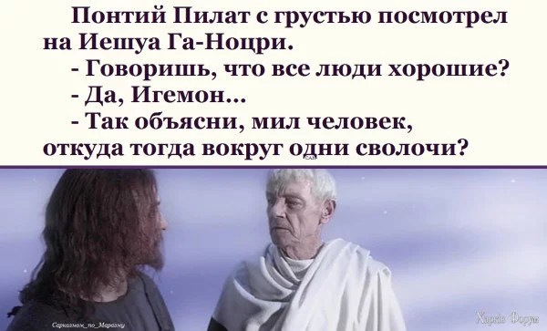 1723156987656.webp