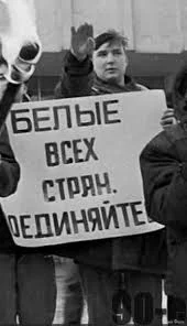 1723230705691.webp