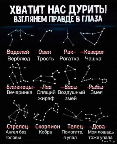 1723240944296.webp