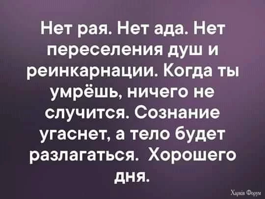 1723241432837.webp