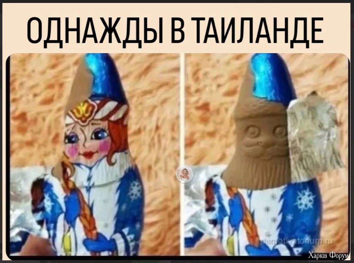 1723288372411.webp