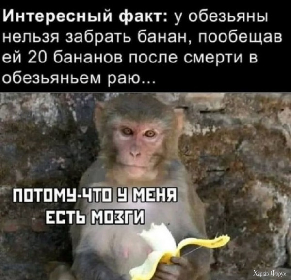 1723321094996.jpeg