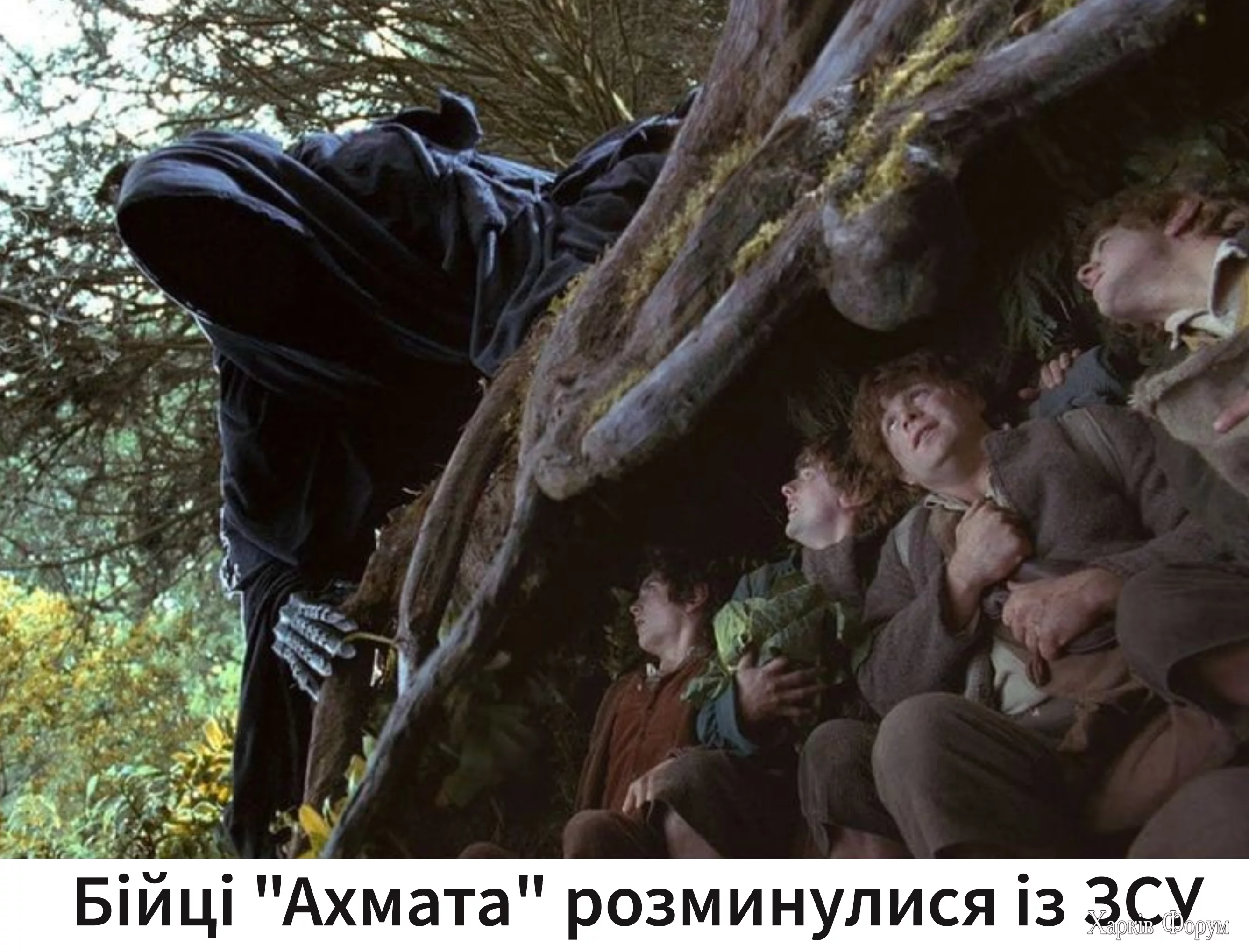 1723377105863.webp