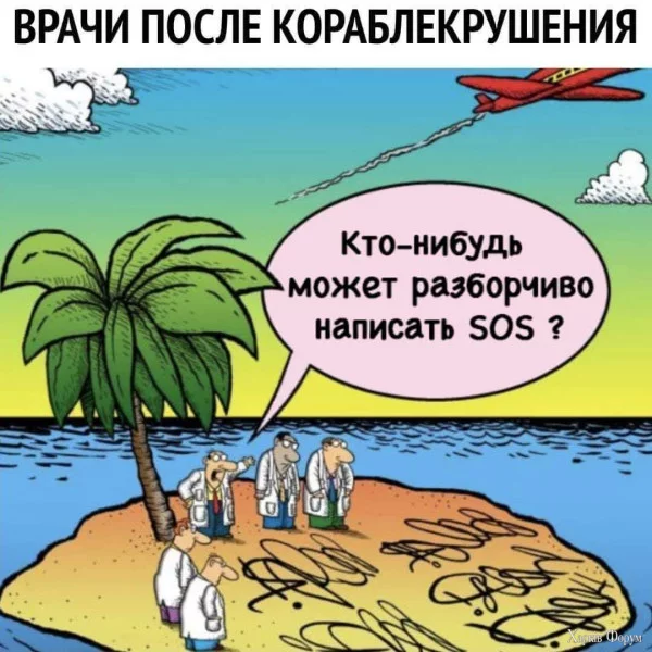 1723412338579.webp