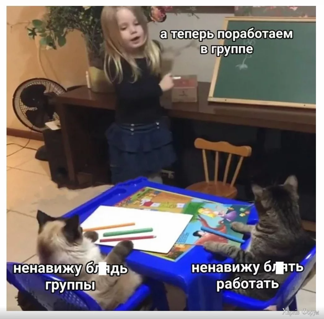 1723571032023.webp