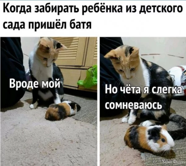 1723583942596.webp