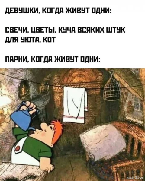 1723585699314.jpeg