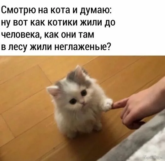 1723748638050.webp