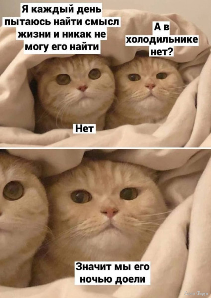1723763319983.jpeg