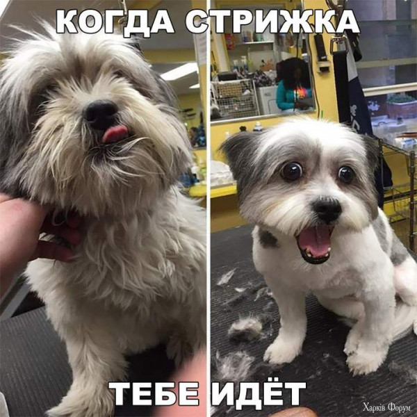 1723763704259.jpeg