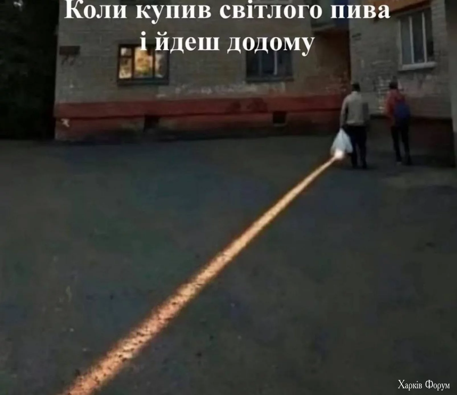 1723932503003.webp