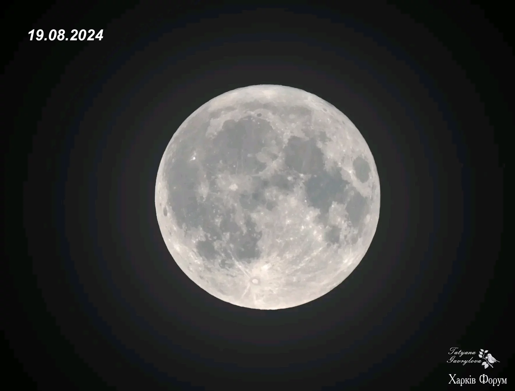 1724098149180.webp