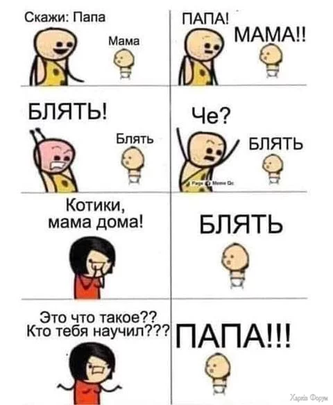 1724210013822.webp