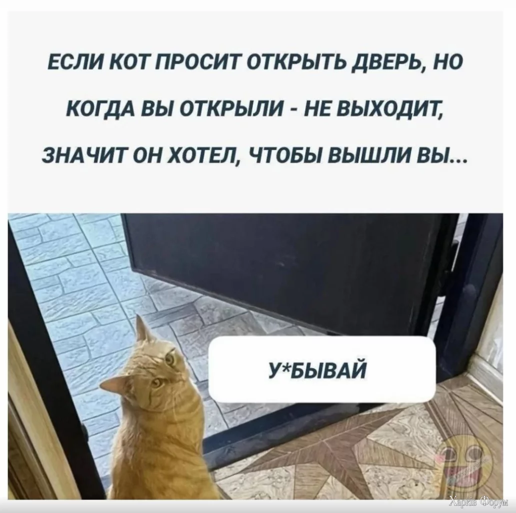 1724433612908.webp