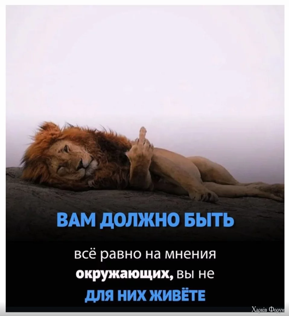 1724433631802.webp