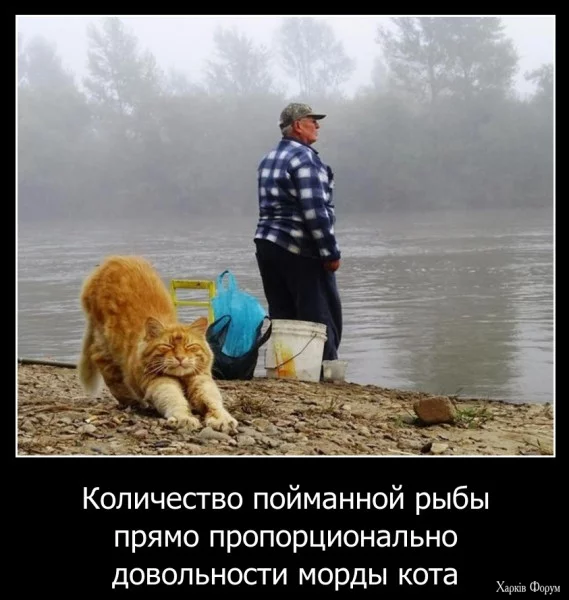 1724455107023.webp