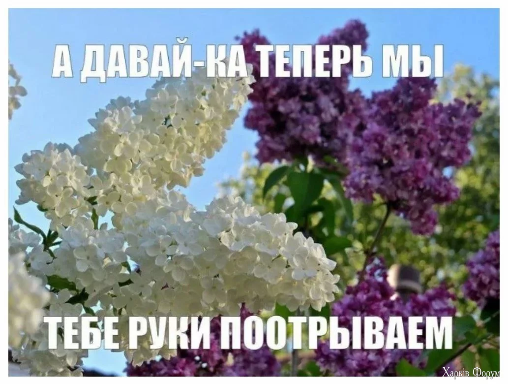 1724605602754.webp