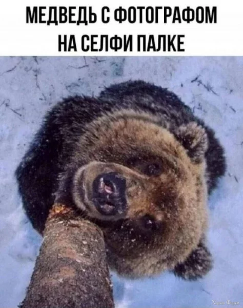 1724623168607.webp